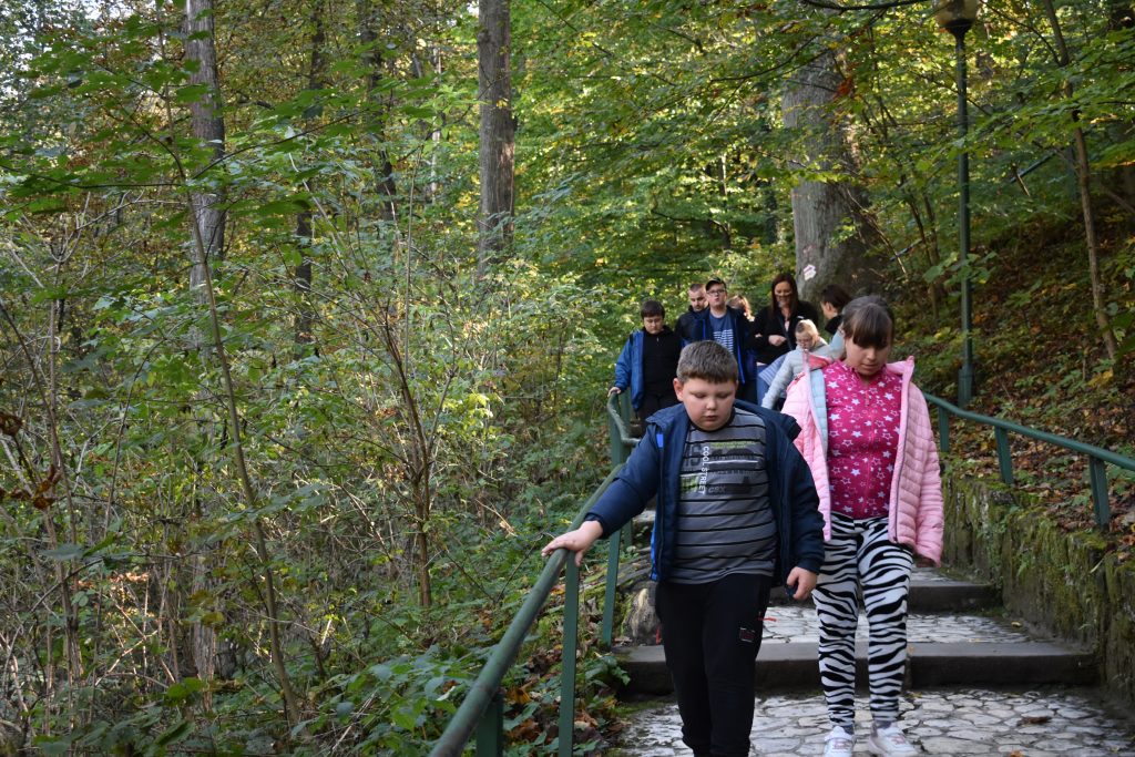 grupa uczniów i ich opiekunowie schodzą w dół po kamiennej ścieżce w lesie