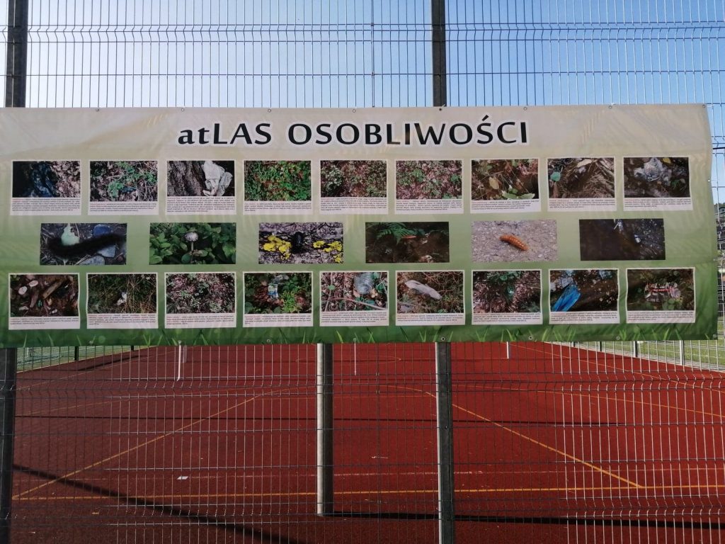 baner zawieszony na ogrodzeniu boiska sportowego z napisem atlas osobliwości i zdjęciami lasu, drzew, gałęzi, liści, szyszek, śmieci w lesie