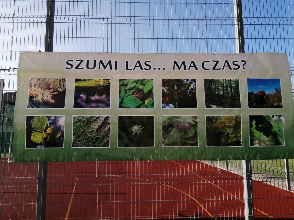 baner zawieszony na ogrodzeniu boiska sportowego z napisem szumi las... ma czas i zdjęciami lasu, drzew, gałęzi, liści, szyszek, kwiatów